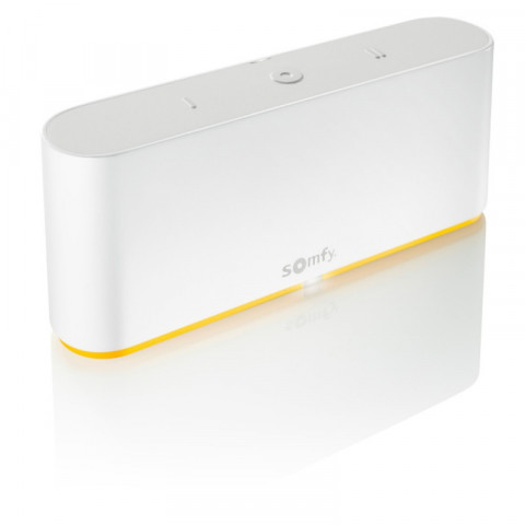 Aktionspaket: 2 x Somfy Einsteckantrieb RS100 Solar io Kit + gratis TaHoma Switch