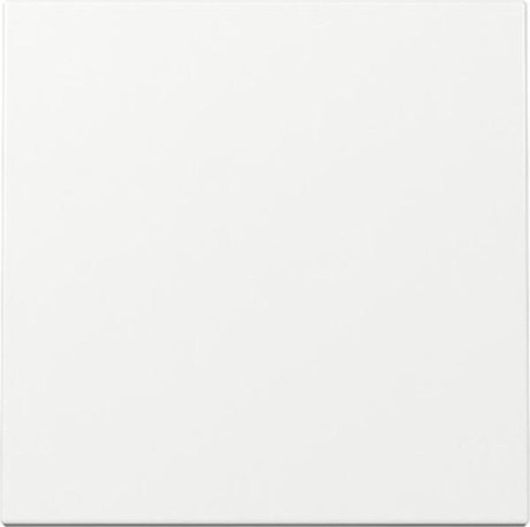 Gira Schalterwippe, Aus-Wechsel, Standard 55 reinwei&szlig; gl&auml;nzend (329603)