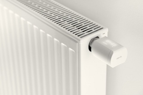 Somfy Heizk&ouml;rper-Thermostat io (1870508)